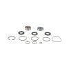 All Balls Racing Jet Pump Rebuild Kit