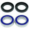 QuadBoss 2008 Arctic Cat 50 2x4 Rear ATV Wheel Bearing & Seal Kit