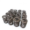 Skunk2 Tuner Series Honda/Acura (H22A/F20B) DOHC VTEC Alpha Valve Spring Set (Dual Springs)