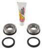 Pivot Works 2017 Beta RR-S 4T 125 Steering Stem Bearing Kit