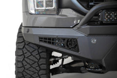 Photo - Close Up