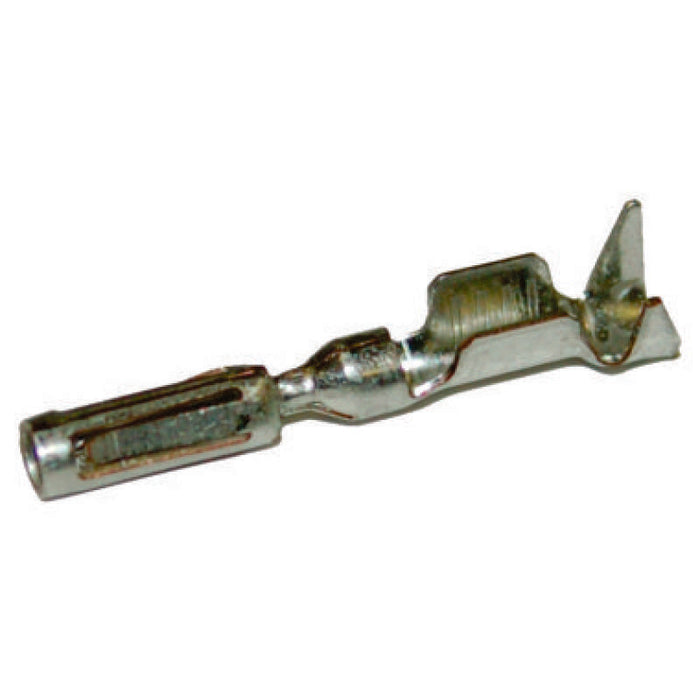 Photo - Primary