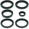 QuadBoss 04-09 Kawasaki KFX700 V-Force Rear Differential Seal Kit