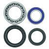 QuadBoss 00-01 Yamaha YFM400 Kodiak 2x4 (02) Rear ATV Wheel Bearing & Seal Kit