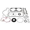 Vertex Gaskets 16-17 Polaris 800 AXYS Pro RMK Complete Gasket Kit w/ Oil Seals
