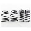 RS-R 2015-2021 Subaru WRX Down Sus Springs