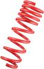 Tanabe DF210 Springs 12-13 Toyota Prius C