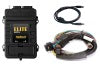 Haltech Elite 1500 Basic Universal Wire-In Harness ECU Kit