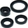 QuadBoss Oil Seal Set