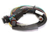 Haltech Elite 2500 Basic Universal Wire-In Harness w/o Relays or Fuses - 2.5m (8ft)