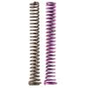 Moroso 2 Piece Oil Pump Spring Kit (For 22171/22192/Spur Gear SBC)