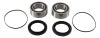 Pivot Works Rear Wheel Bearing Kits