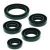 QuadBoss 88-02 Kawasaki KLF220 Bayou Oil Seal Set