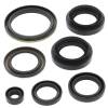Vertex Gaskets 03-04 Arctic Cat 400 4x4 w/AT Oil Seal Kit