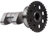 Hot Cams 15-19 WR 250 F/14-16 YZ 250 F/15-19 YZ 250 FX Intake Camshaft - Stage 2
