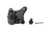MOOG 96-03 Toyota RAV4 Front Lower Ball Joint