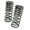 RS-R 09-14 Nissan Maxima Down Sus Springs